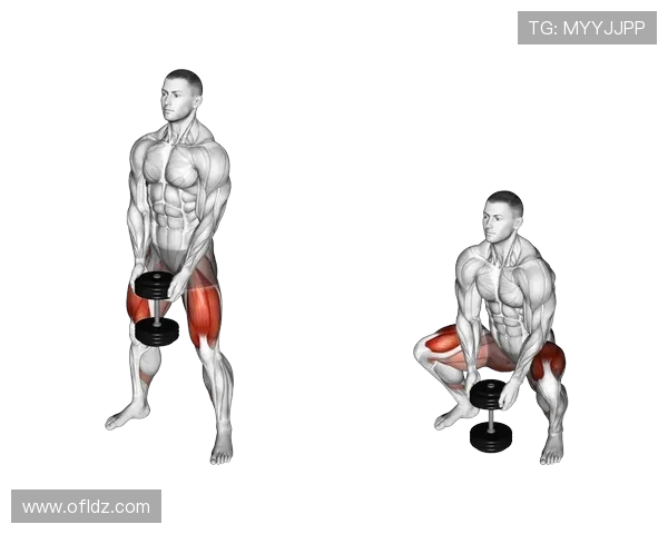 贝林飞人助力阿隆索引入相扑深蹲新训练,引发热议 贝林飞人助力阿隆索引入相扑深蹲新训练,引发热议