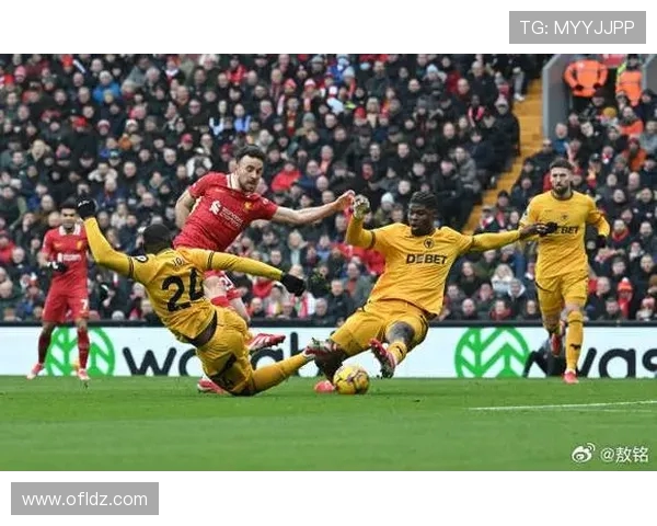 狼队队长托蒂:尽管11轮未尝胜绩 我们依然要全力以赴继续拼搏 狼队队长托蒂:尽管11轮未尝胜绩 我们依然要全力以赴继续拼搏